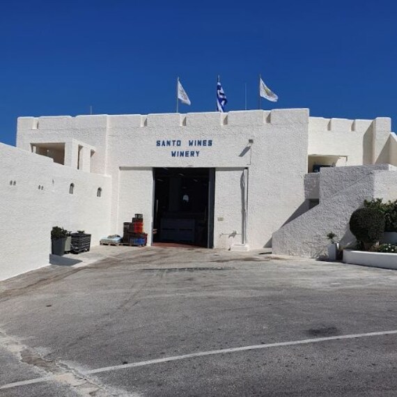 Wineries and Vineyards-4